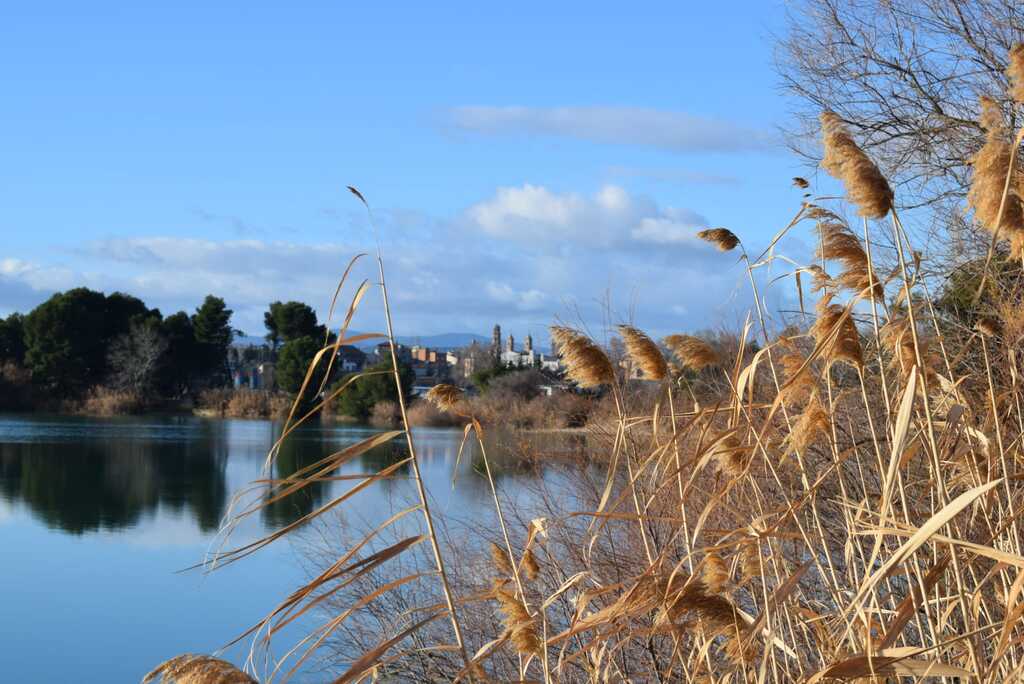 la estanca de corella con vistas a corella