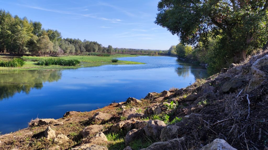 sotos de alfaro en un dia primaveral
